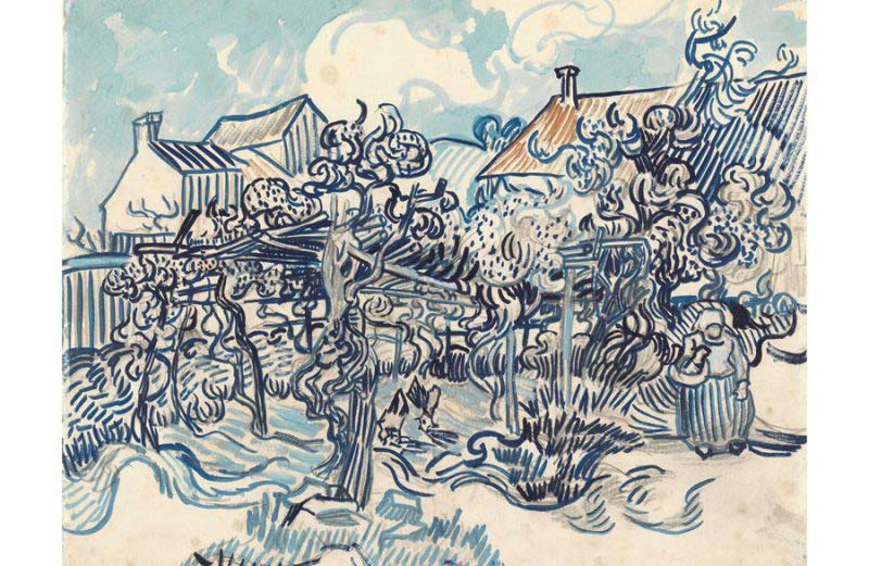Vinograd i seljanka